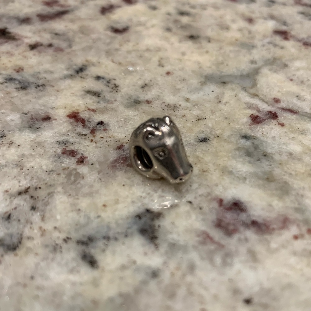 Pandora Bracelet Charms